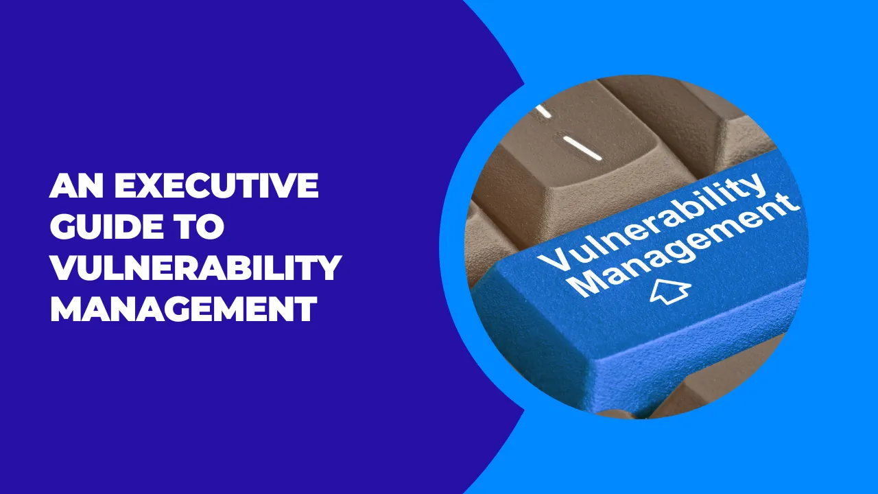 Vulnerability Management An Executive Guide For