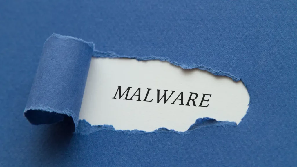 Potential Risks and Damages from Malware