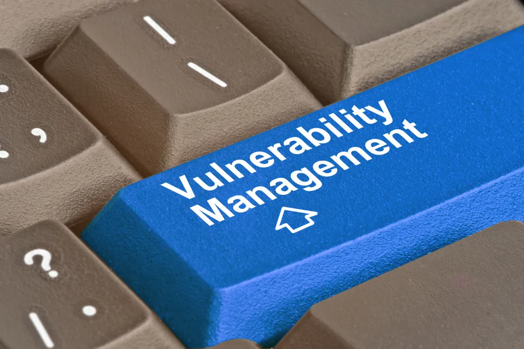 Understanding Vulnerability Management