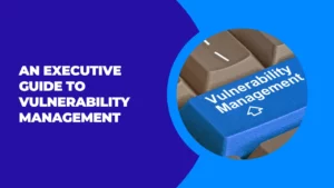 guide for vulnerability management