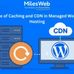 The Role of Caching and CDN in Managed WordPress Hosting